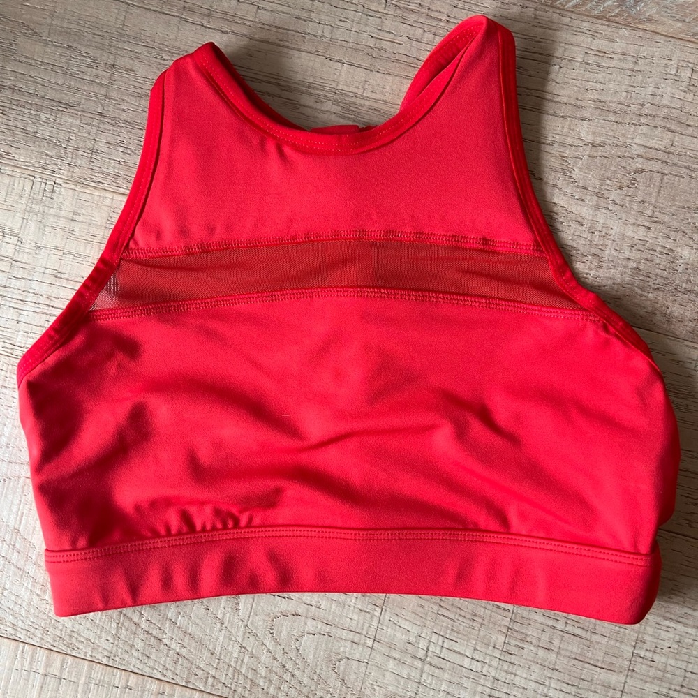 Back Me Up Chestee Size 6